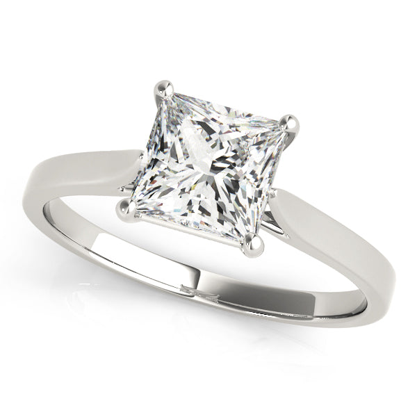 Cathedral Solitaire Princess Cut Engagement Ring - Elgrissy Diamonds