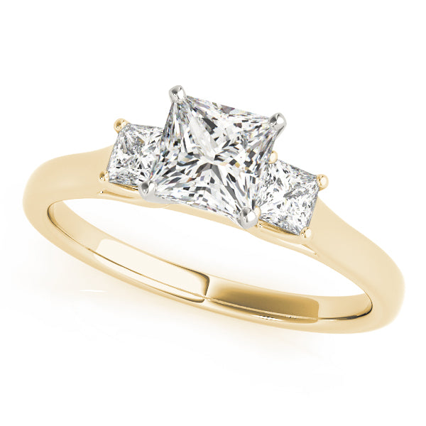 High Profile Three Stones Trellis Princess Cut Engagement Ring - Elgrissy Diamonds