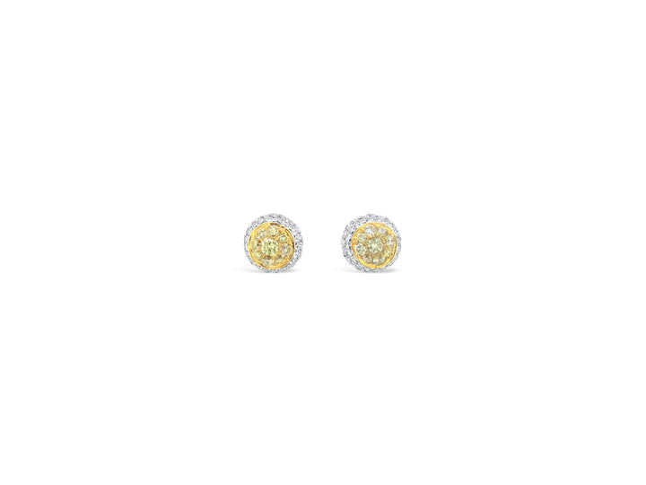 Two Tone Double Halo Illusion Diamonds Earrings