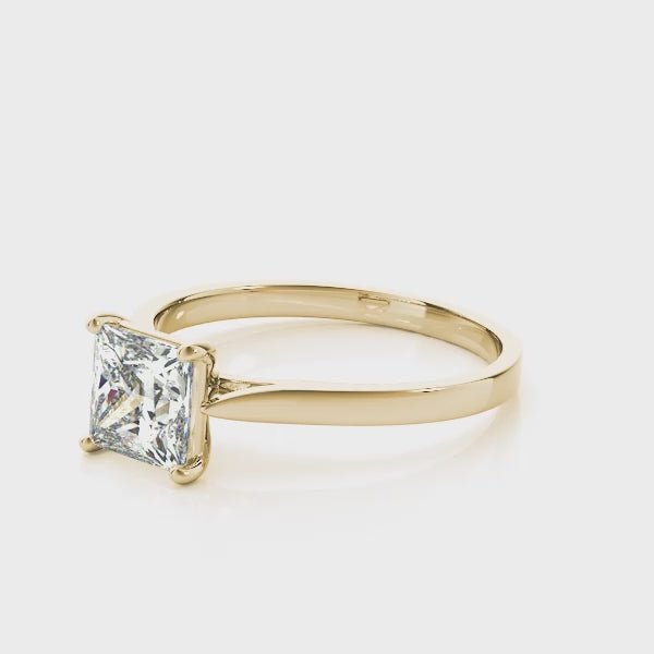 Cathedral Solitaire Princess Cut Engagement Ring